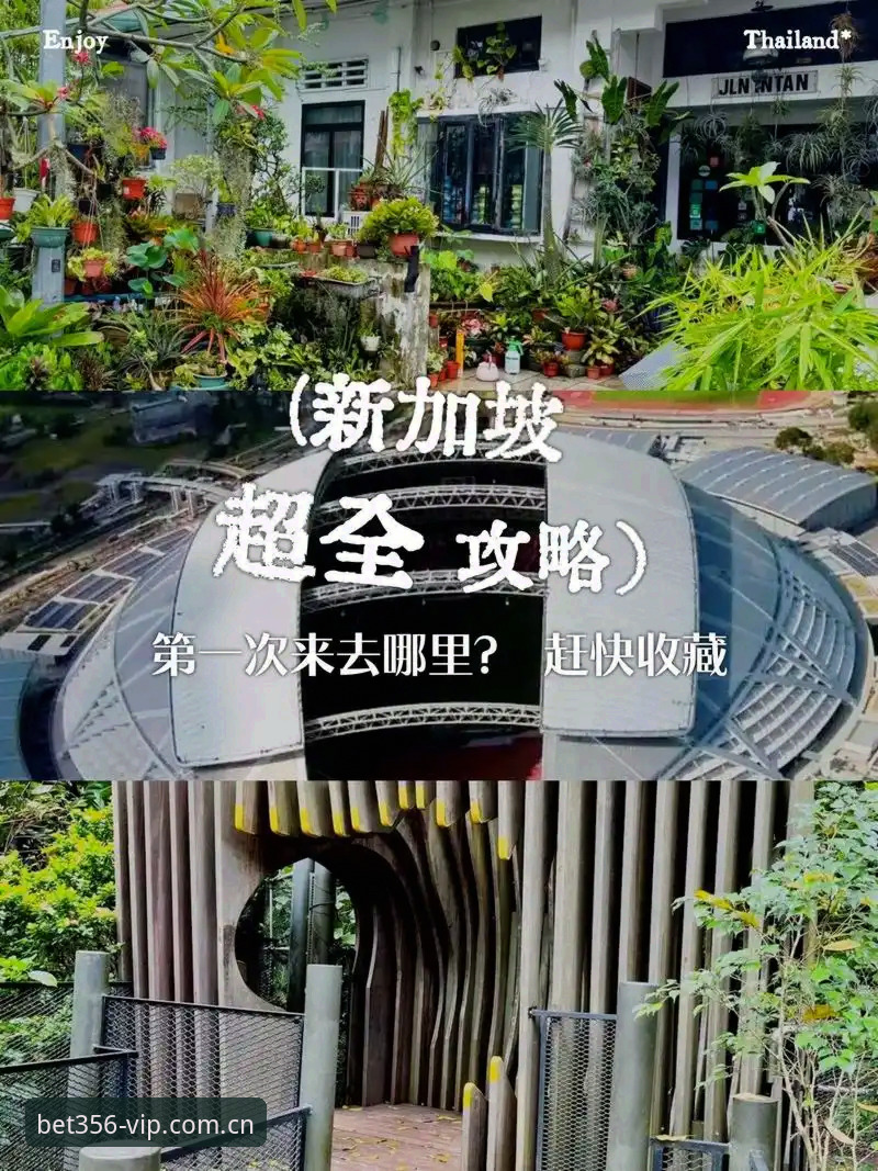 揭秘必一体育注册安装教程：bet356体育平台v3.1.0背后隐藏的效率细节
